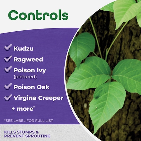 Bonide Products Stump-Out 8 Oz. Concentrate Stump & Vine Killer 2746