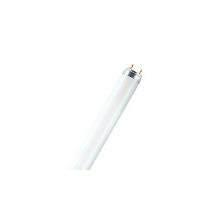 Ledvance/ Sylvania Fluorescent, 25 W, T8, Medium Bi-Pin (G13) FO32/25W/841/XP/SS/ECO3