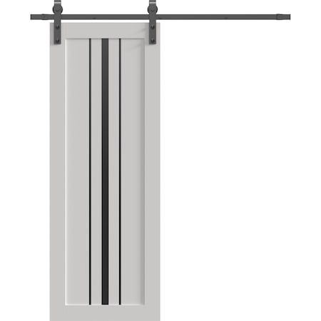 Sartodoors Barn Door 24 x 96 inches, BASIC 4903 White with Black Glass, 6.6FT Rail Track Hardware Set, Solid BASIC4903BD-B-WS-2496