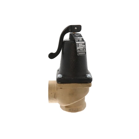 Lochinvar 1 1/4 in. 50# 2490000 Rlf Valve 100111923