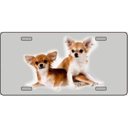 Powerhouse Chihuahua Dog Pet Novelty License Plates- Full Color Photography License Plates PO525339