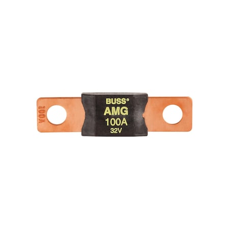 Auveco Mega Fuse 100 Amp, 2PK 18986
