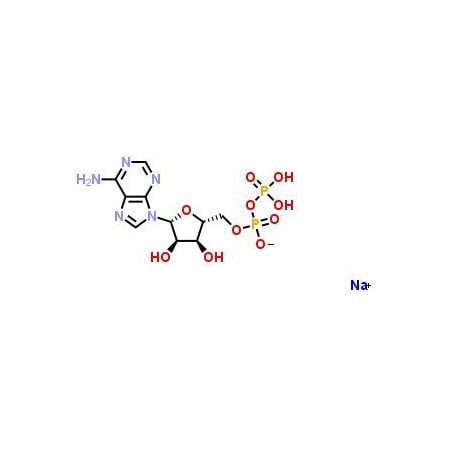 Ak Scientific Adenosine 5′-diphosphate sodium salt (25g), CAS 20398-34-9 H356-25g