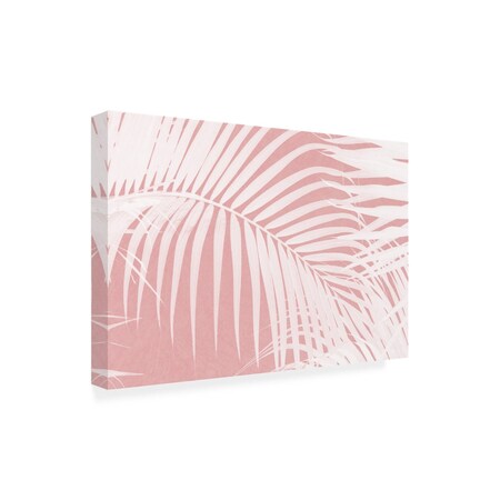Trademark Fine Art Outdoor Canvas Art - amini54 'Palm Leaves On Pink Silhouette IV' Wall Art for Patios, or Gardens 1X28378-OC1624WR