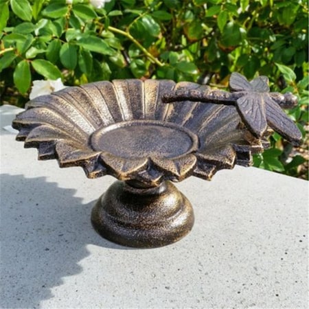 Rooterhincha Cast Aluminum Tabletop Birdbath, Antique Brass RO3000943