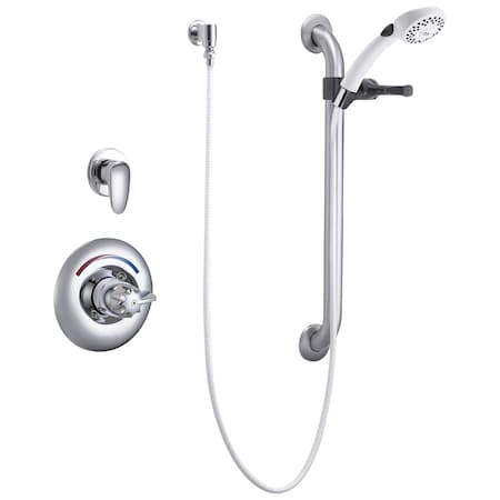 Delta Commercial T13H Universal Dual Shower Trim Diverter Hand Shower And Grab Bar In Chrome T13H303