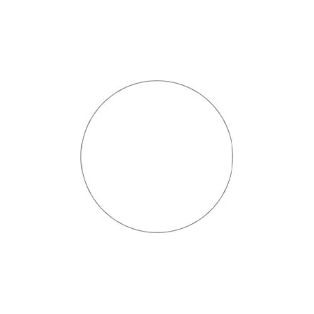 Bubblefast 3'' Circles - Clear Removable Labels BFDL1492CL