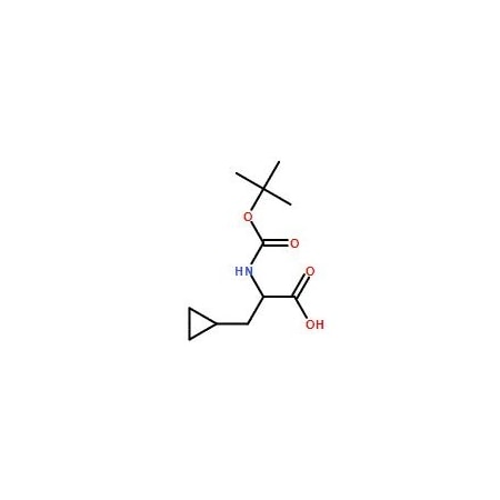 Ak Scientific N-Boc-cyclopropyl alanine (1g), CAS 888323-62-4 4396AJ-1g
