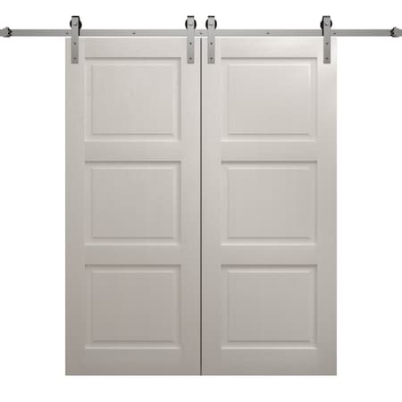 Sartodoors Modern Double Barn Door 64 x 80 inches, Ego 5010 Painted White Oak, 13FT Silver Rail Track Set, S EGO5010DB-S-PWO-64