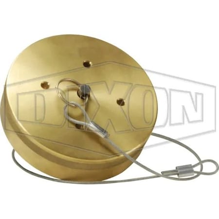 Dixon CAP FOR LNG30BRFE ADN LNG20BRFE LNGBRFECAP