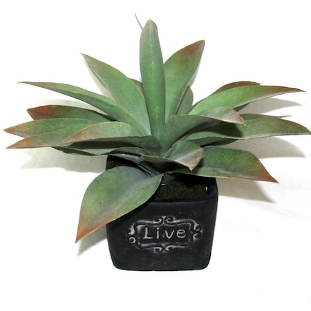 Jeco 11 in. Artifical Succulent Garden HD-BT011