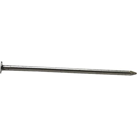 National Nail Common Nail, 3 in L, 10D, Steel 53179