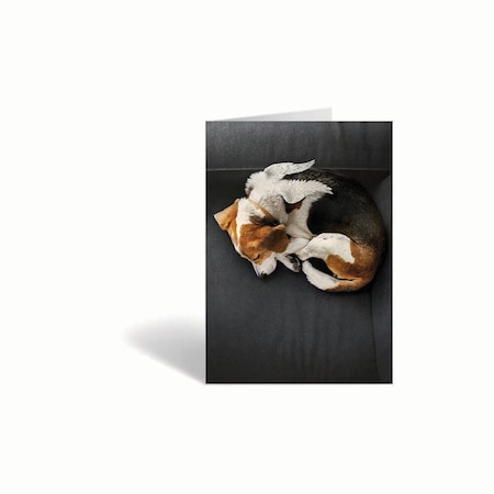 Jorgensen Laboratories Sympathy Cards, Peace, 10PK J1483C