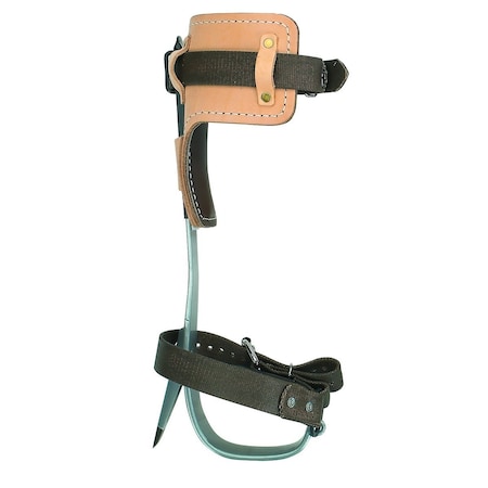 A & I Products CLIMBER-BUCKINGHAM-TITANIUM-TREE, A-B1ABTB93059 | Zoro