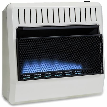 Avenger Dual Fuel Ventless Blue Flame Gas Space Heater With Blower And Ba  FDT30BF | Zoro