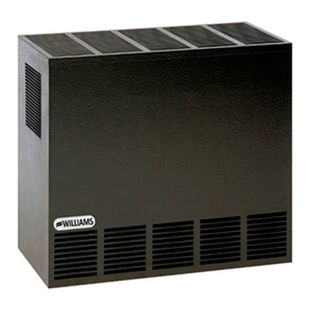 Williams Furnace Co. Williams Enclosed Front Room Heater Propane 20000 BTU  2001621A | Zoro