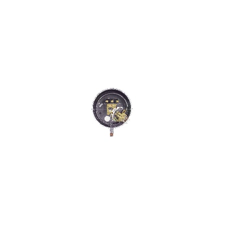 Dwyer Instruments Pressure Switch, Standard, SPST, 1/4