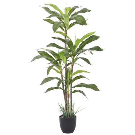Forever Leaf 5 ft. Artificial Dracaena Plant FL05101 | Zoro