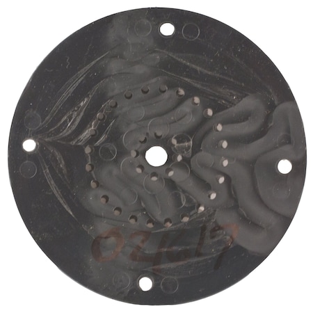 Dayton Nozzle, Water Lily 021617