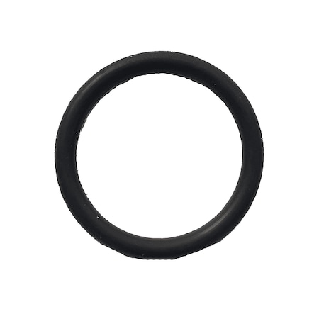 Perkin Elmer Radial Window O-Ring 09921036