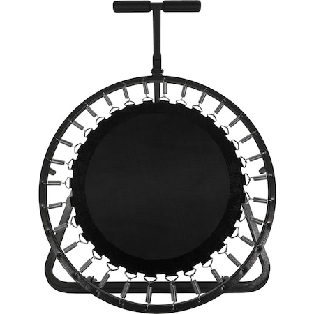 Champion Sports Medicine Ball Rebounder, w/Tray MBR40