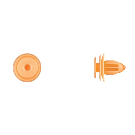 Disco ORng Nyln Rear Liftgate Ret 8.5mm Hole 13mm Hd 14mm Stem PK15 11125PK