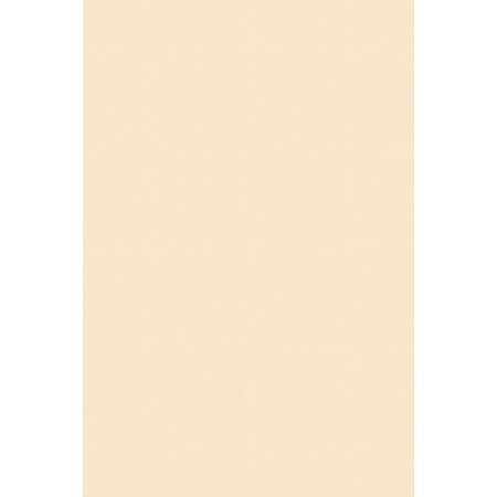 Pacon Tag Board, Hvywt, Mla, 24x36 5126