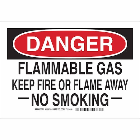 Brady Danger No Smoking Sign, 10" H, 14 in W, Rectangle, English, 123710 123710