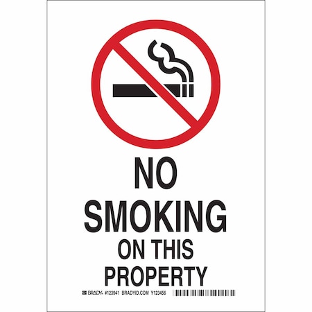 Brady No Smoking Sign, 10" H, 7 in W, Rectangle, English, 123939 123939