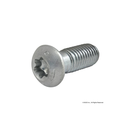 80/20 Connecting Screws (Cs) M12 X 30mm 13004