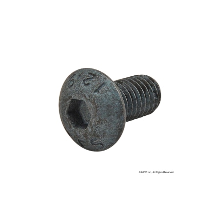80/20 M5-0.80 Socket Head Cap Screw, Blue Zinc Plated Steel, 10 mm L 13-5310