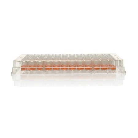 Nunc Thermo Scientific Nunc 96 Well Pl, PK180 260836
