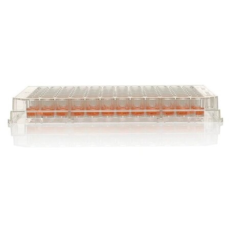 Nunc Thermo Scientific Nunc 96 Well Plt, PK60 269620