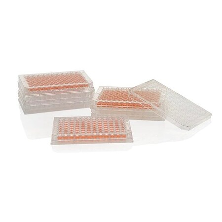 Nunc Thermo Scientific Nunc 96 Well Pla, PK50 167008
