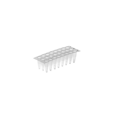 Simport Scientific Simport Amplate 24-Well Thin Wall, PK 50 T323-24N