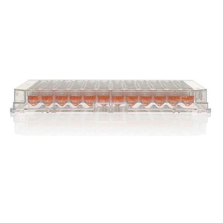 Nunc Thermo Scientific Nunc 96 Well Plt, PK20 152039
