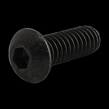 80/20 Inc 1/4"-20 Button Socket Head Cap Screw, 3/4 in L 3065