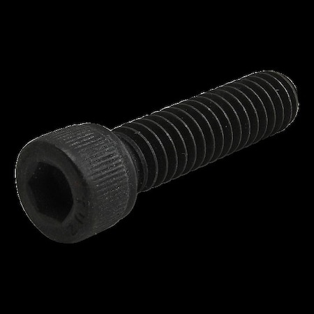 80/20 Inc 1/4"-20 Socket Head Cap Screw, 1 in L 3071