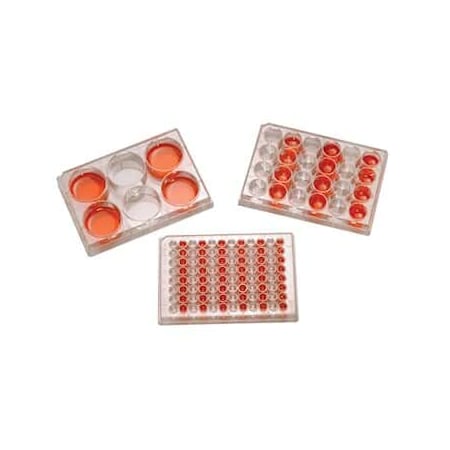 Cole Parmer Sterile Tissue Culture 12- Well P, PK 100 01927-72