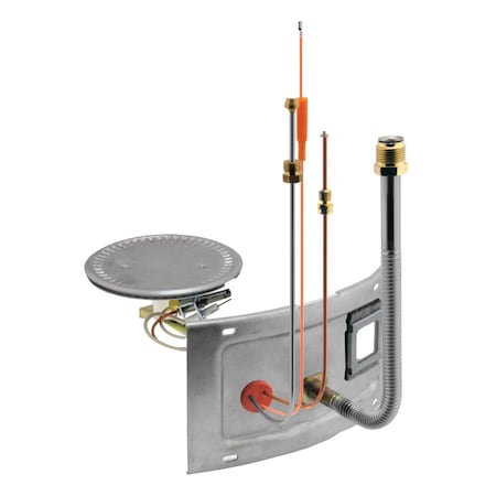 Rheem Burner Assy, w/Door AM41863