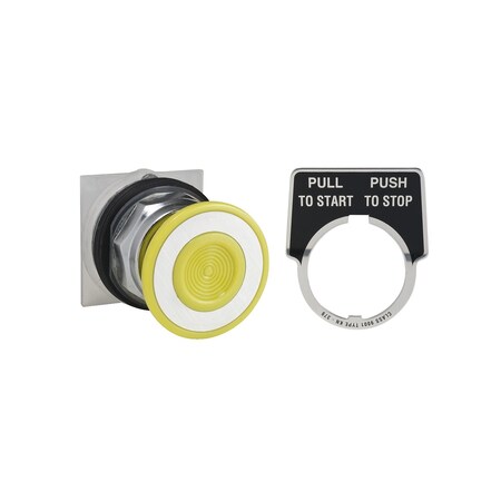 Square D PUSH BUTTON 600VAC 10A 30MM T-K 9001KR9P35YH13