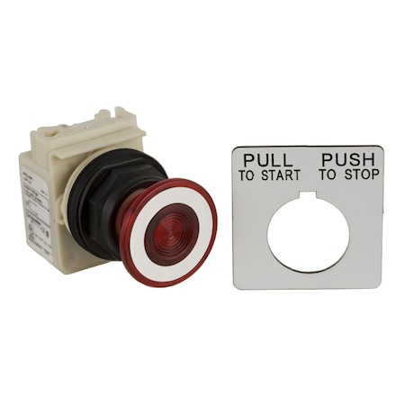 Square D PUSHBUTTON 240VAC 30MM SK OPTIONS 9001SKR9P7R
