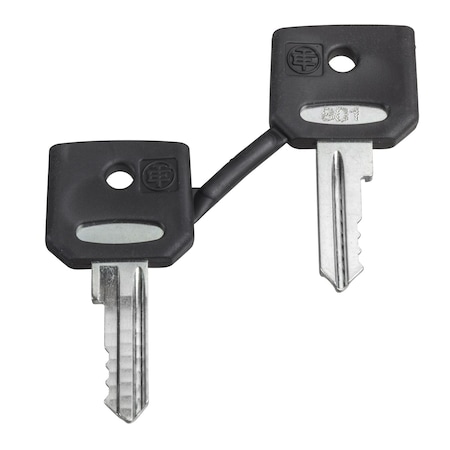Schneider Electric Set of 2 keys 4A185 ZBDA185