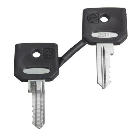 Schneider Electric Key, Harmony XB4, emergency stop push button, key 3131A, set of 2 keys ZBG3131A
