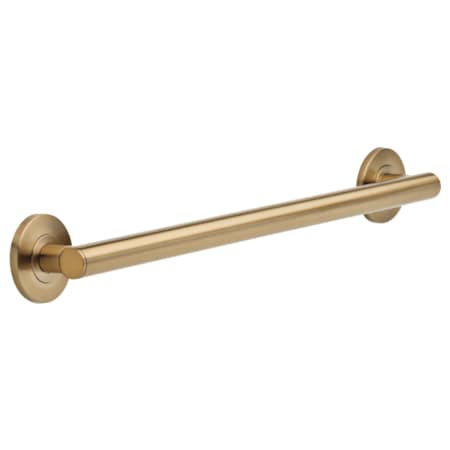 Delta Delta Bathsafety, 24", Conte Decorative AD 41824-CZ