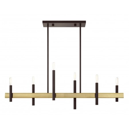 Livex Lighting Bronze with Antique Brass Accents Chande 49336-07