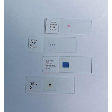 United Scientific Hydra, Wm 500-2