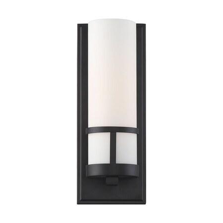 Nuvo Fixture, Vanity, Incandescent, 100W, 120 60/6789