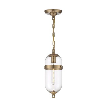 Nuvo Fixture, Pendant, Incandescent, 60W, 120 60/6911
