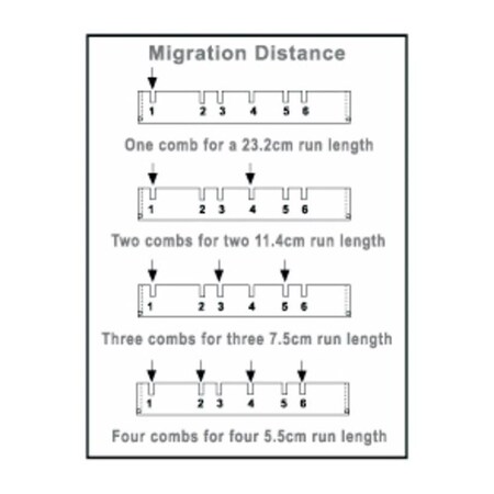 Thermo Fisher Scientific Asheville Owl 16 Tooth Comb, 1.0 mm Thick A2-16C